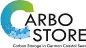 CARBOSTORE Logo