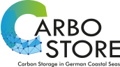 Carbostore Logo