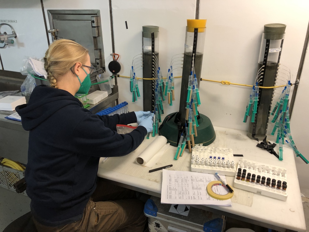 Scientist works on samples at the desk