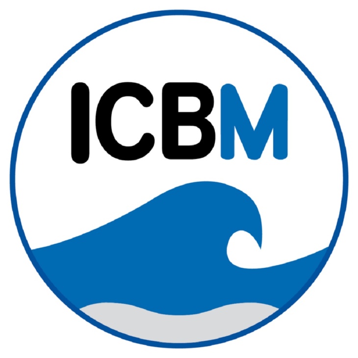 Logo Icbm